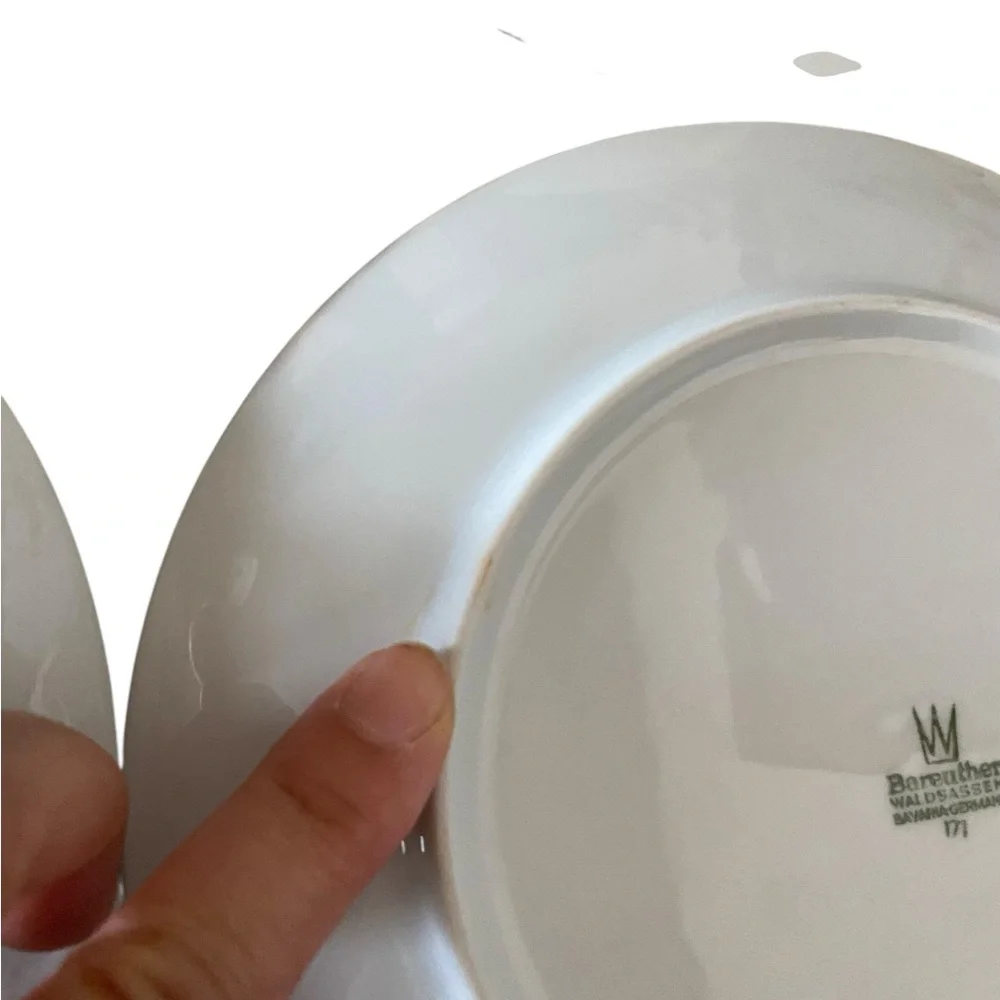 Bareuther Waldsassen Bavaria Botanic Flower berries 142 Salad Plates green trim
